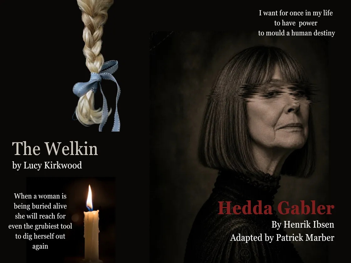 Hedda Welkin